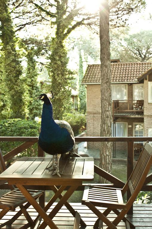 Carilo Village Apart Hotel & Spa Rom bilde